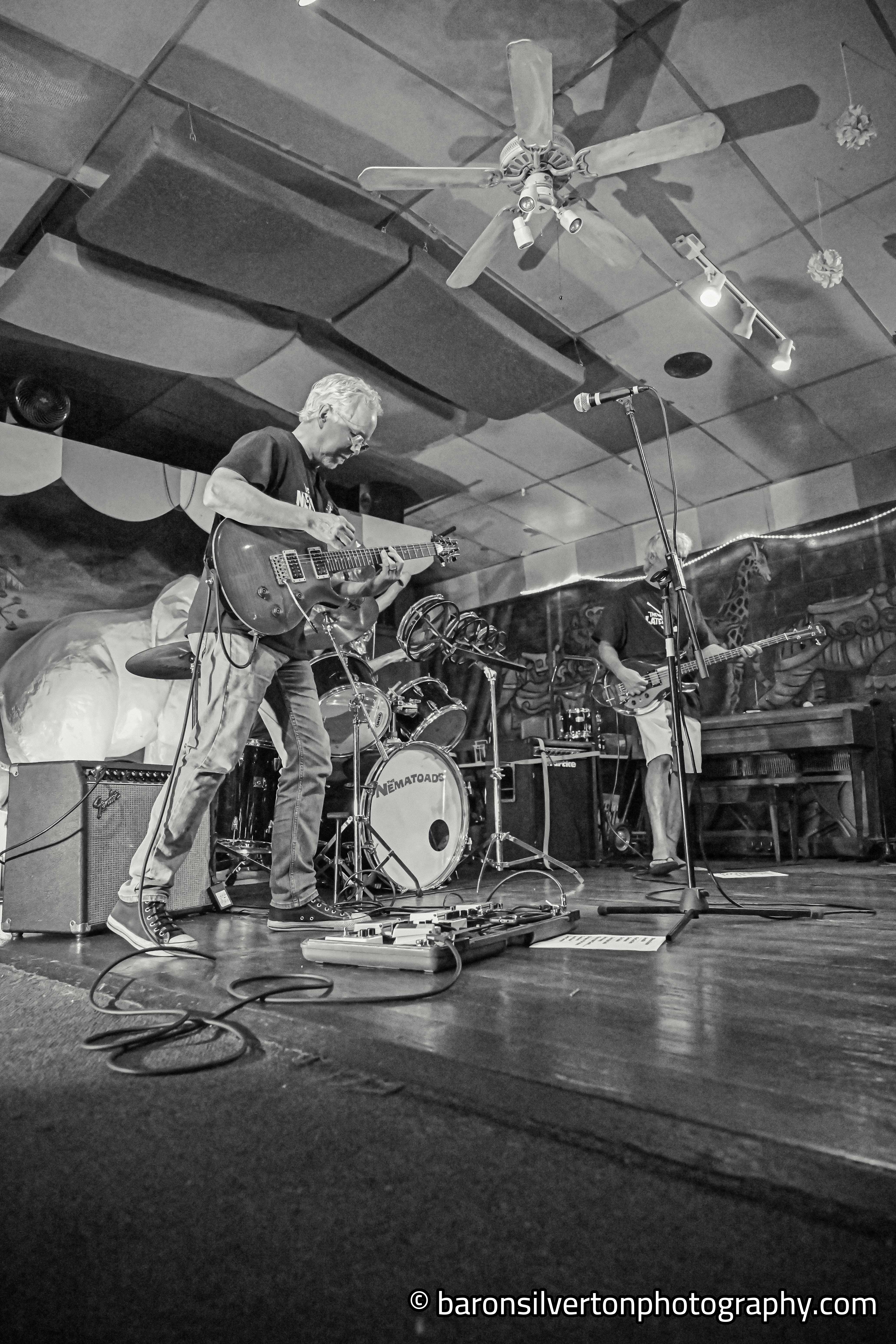 The Nematoads Live - Photo by Baron Silverton
