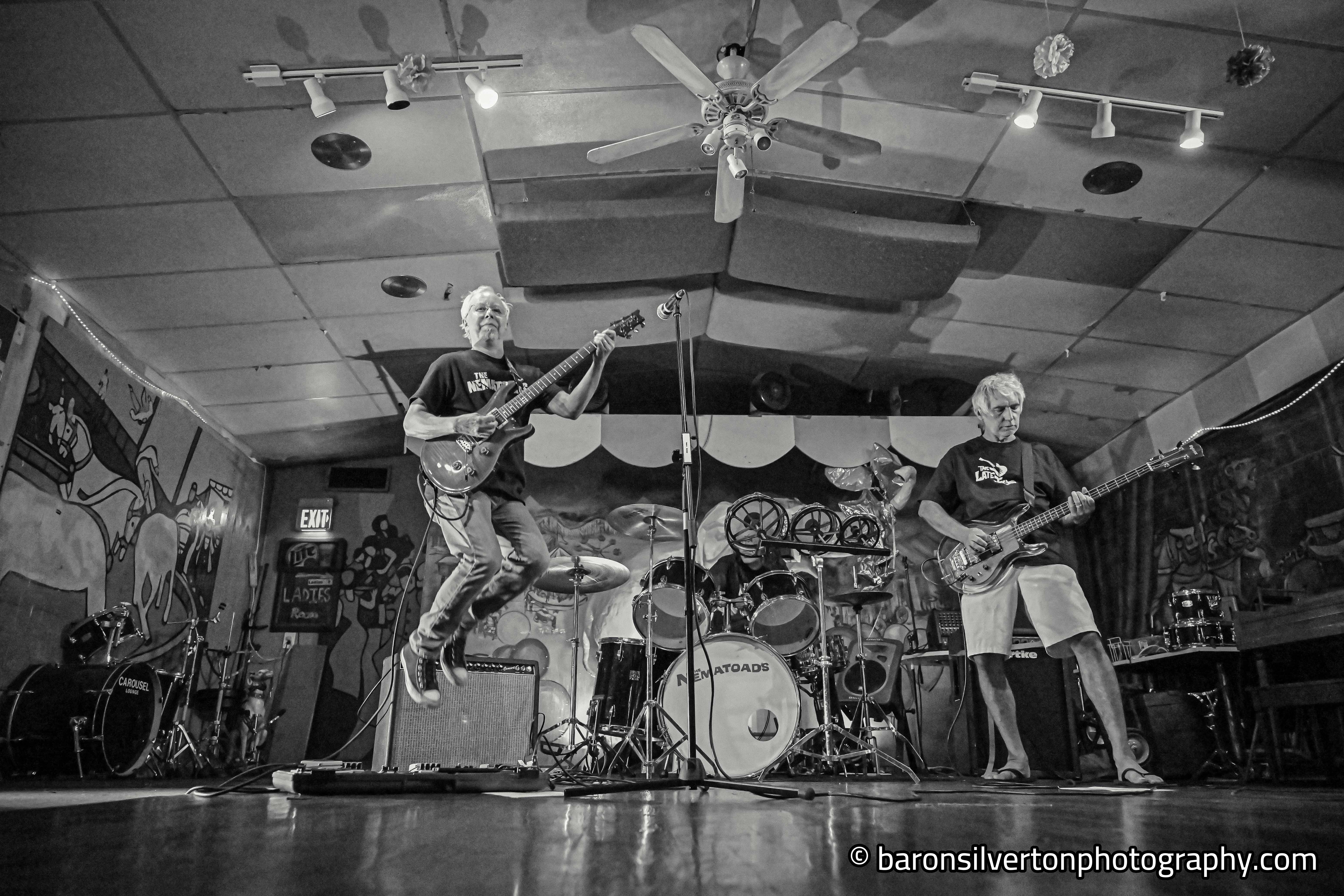 The Nematoads Live - Photo by Baron Silverton